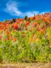 USA-Utah-Logan Pass Colorful autumn in Provo Pass Art Print